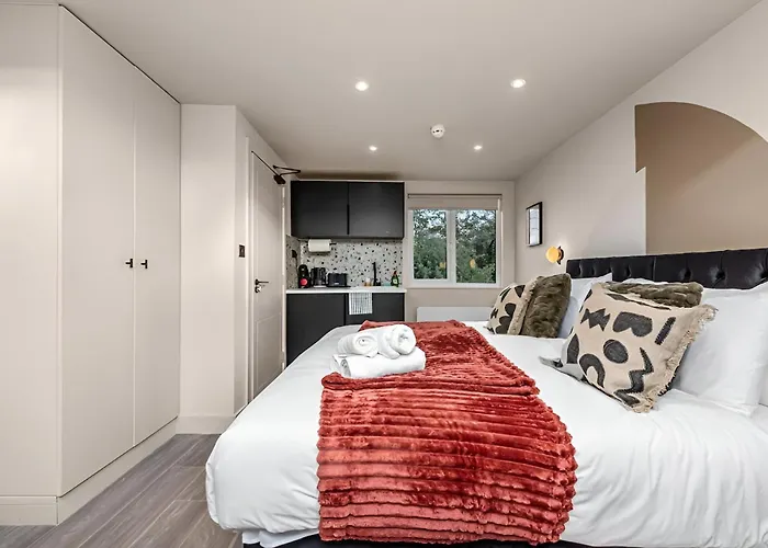 Radiant Studio Nook With Full Kitchen